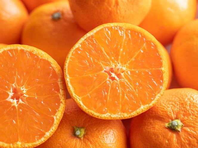 【先行予約】【訳あり】紀州和歌山産 大玉 温州みかん 約2kg（箱込み） 2L～3L サイズ混合