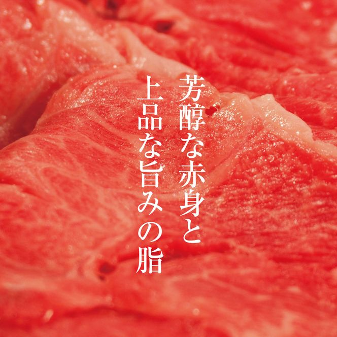 牛肉 京都もり牛 切り落とし スライス 600g 京都府産 国産 国産牛 和牛 黒毛和牛 焼き肉 焼肉 BBQ バーベキュー カレー 牛丼 鍋 お肉 牛 肉 ブランド ギフト 冷凍 京都 