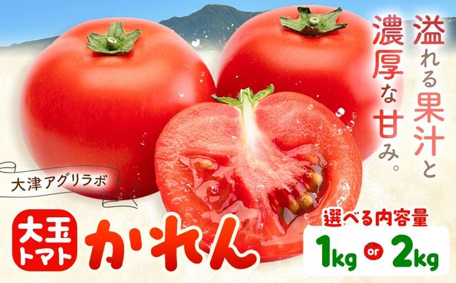 【大津アグリラボ】大玉トマト かれん 選べる内容量 約1kg 約2kg 株式会社中九州クボタ《10月上旬-6月下旬頃出荷》熊本県 大津町 トマト 大玉 野菜---大津アグリラボ】大玉トマト かれん 選べる内容量 約1kg 約2kg 株式会社中九州クボタ《10月上旬-6月下旬頃出荷》熊本県 大津町 トマト 大玉 野菜---oz_nkb_1_1kg---