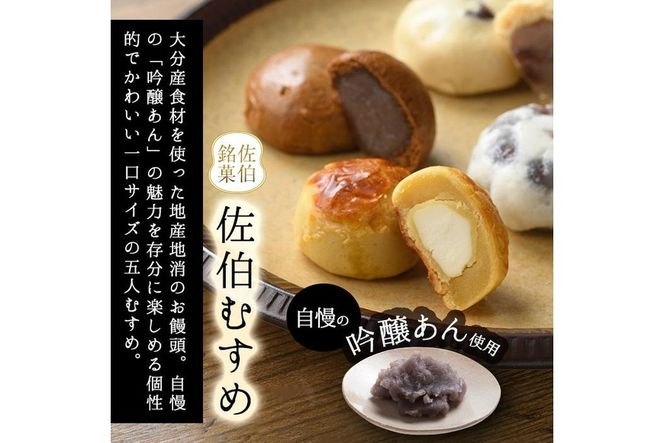 ひとくちまんじゅう 佐伯むすめ (計20個・5種×4個) 饅頭 饅頭 ひとくち 一口 薄皮 みそ 黒糖 抹茶 チーズ スイーツ お菓子 おやつ 焼き菓子 和菓子 詰め合わせ 個装 常温 大分県 佐伯市【AG95】【 (株)お菓子のウメダ】