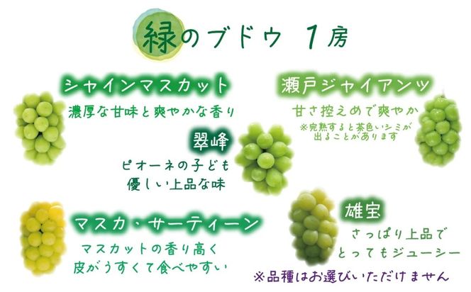 【2026年の先行予約】 岡山 花笑み農園『彩り３種セット』家庭用（1.8kg） 3M-2家 / ぶどう 詰め合わせ 食べ比べ シャインマスカット 岡山 真庭市 【hana085-01】