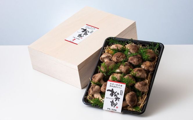 松太郎ギフト（生詰め合わせ）【夏季冷蔵便対応】-[G129-2]