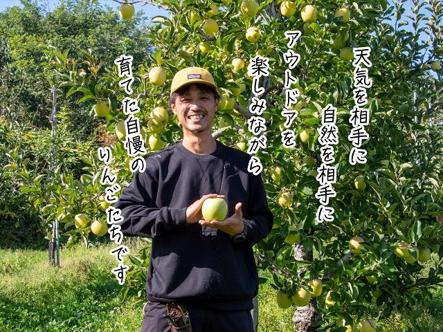 りんご 青森 王林 リンゴ 約 5kg (12～18玉) 青森県 鰺ヶ沢町産 西樹園 フルーツ 果物 果物類 白神山地 林檎