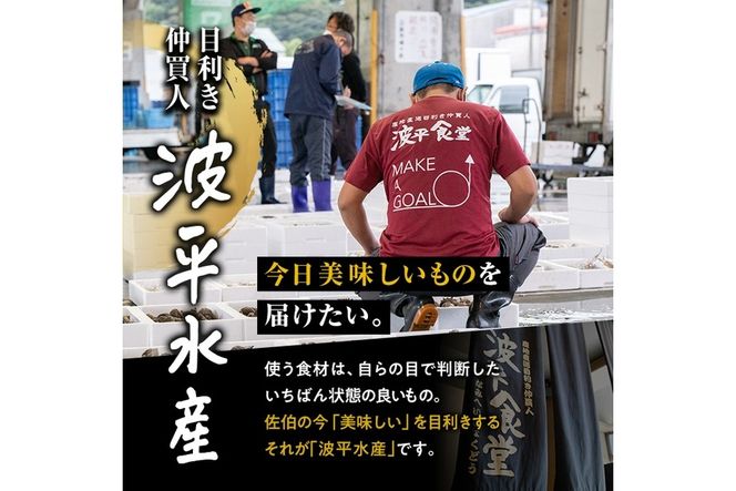 海鮮 BBQ セット (6種・18品) 魚 天然 赤足エビ アカアシ エビ 緋扇貝 ヒオウギ サザエ 鯛 タイ イカ タコ 下処理 済み 高級 豊後水道 個包装 冷凍 大分県 佐伯市 【FZ008】【波平食堂】