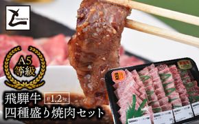 AB-53　A5飛騨牛　四種盛り焼肉セット計1.2㎏