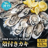 先行予約 北海道 オホーツク サロマ湖産 殻付き カキ 生食可 3.5kg 牡蠣職人厳選 牡蠣 国産 貝付き 魚貝類 生牡蠣 ノロウイルス検査実施 海のミルク 海鮮 海の幸 つまみ 晩酌 お酒のあて 