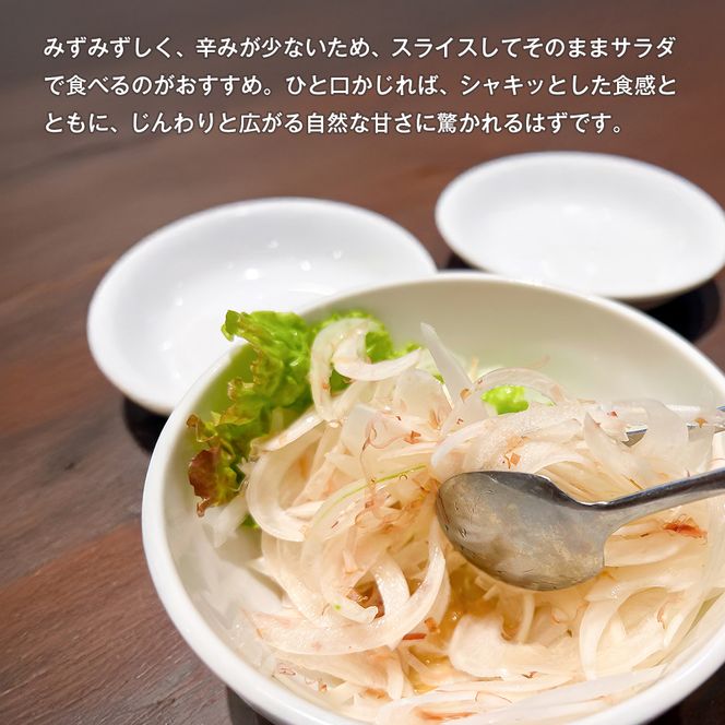 新玉ねぎ 自然栽培 4.5kg 玉ねぎ