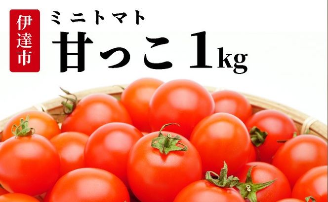 ＜先行予約＞北海道伊達産 ミニトマト 甘っこ 1kg【55250938】とまと 甘い 野菜 やさい 人気 新鮮 産地直送 農家直送 先行受付