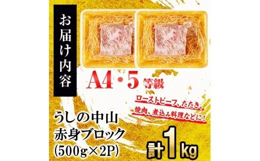 赤身ブロック計1kg(500g×2P)  c0-125