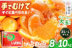 【2027年1月中旬より発送開始】いよかん 8～10kg(3L～Lサイズ)【みかん 柑橘 フルーツ デザート】(H116141)