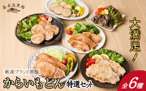 【牧場直送の新鮮黒豚】桑水流黒豚からいもどん特選セット（豚肉 黒豚 豚 肉 お肉 詰め合わせ 豚バラ）