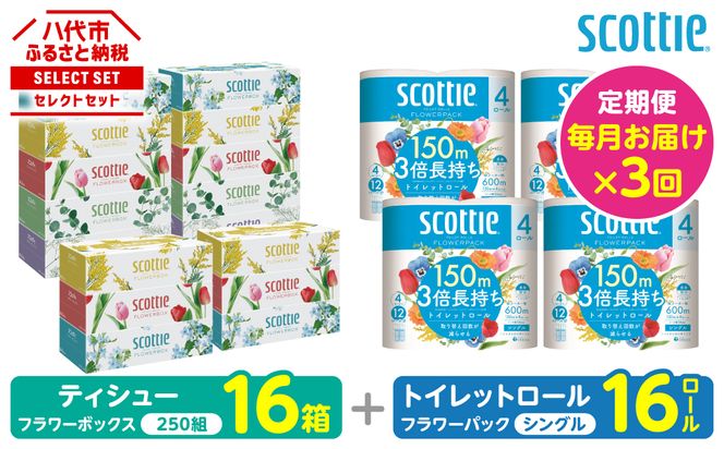 【定期便3回】【毎月お届け】【スコッティ】 組み合わせ ティシュー フラワーボックス 250組 16箱 計48箱 トイレットロール シングル フラワーパック 3倍長持ち 16ロール 計48ロール ティッシュ トイレットペーパー 日用品 防災備蓄 ストック 備蓄 新生活 防災 消耗品 生活用品 日用消耗品 箱ティッシュ