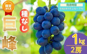 【ふるプレ限定品】【先行予約丨2026年9月上旬より順次発送】種なし巨峰【約1kg(2房あたり)】(At-005)丨長野県 飯山市 おすすめ ランキング おいしい 高評価 大人気 先取り 産地直送 ぶどう 巨峰