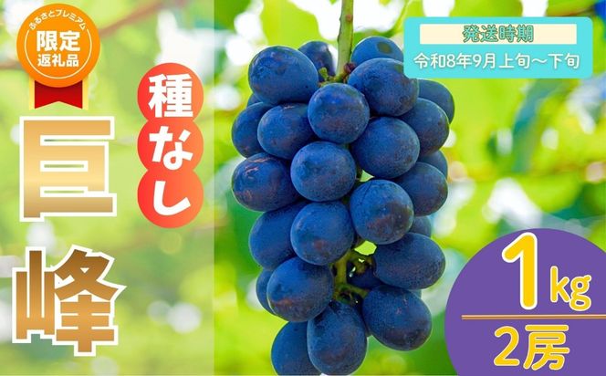 【ふるプレ限定品】【先行予約丨2026年9月上旬より順次発送】種なし巨峰【約1kg(2房あたり)】(At-005)丨長野県 飯山市 おすすめ ランキング おいしい 高評価 大人気 先取り 産地直送 ぶどう 巨峰
