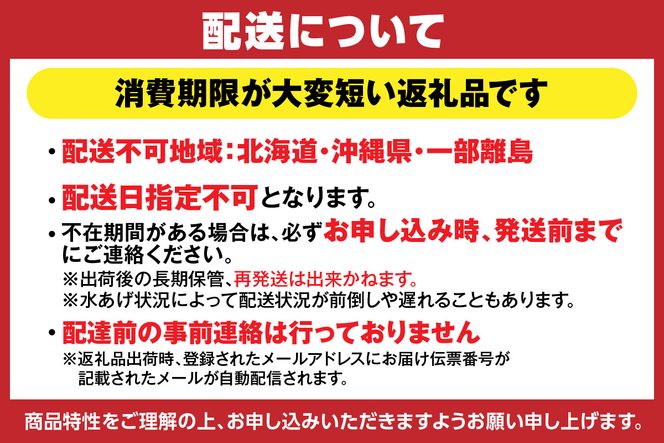 カニホタル 170g×3パック 冷蔵 国産 香住 ほたるいか ホタルイカ いか イカ 香住がに 香住ガニ 紅ずわいがに 紅ズワイガニ カニ かに 蟹 ボイル ふるさと納税 返礼品 おすすめ 兵庫県 香美町 今西食品 6000円 49-04