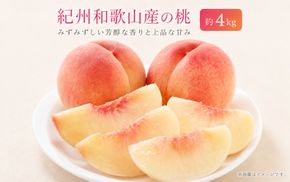 紀州和歌山産の桃　約4kg　化粧箱入 ※2027年6月下旬頃〜8月上旬頃順次発送（お届け日指定不可）【uot723A】
