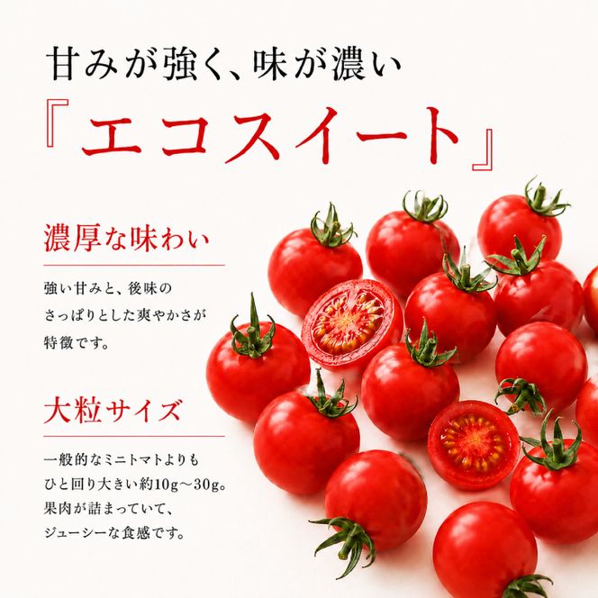 2027年発送 先行受付[栽培期間中 農薬・化学肥料不使用] 北海道 仁木町産 ミニトマト エコスイート 1.2kg×6箱 サイズ混載 トマト 野菜 [Farm Watanabe]