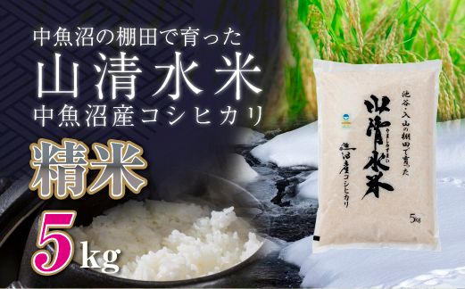 新潟県魚沼産コシヒカリ「山清水米」精米5kg 