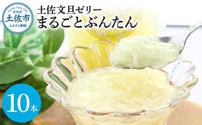 土佐文旦ゼリー『まるごとぶんたん』10本セット ゼリー飲料 ぜりー ブンタン ぶんたん フルーツ 果物 柑橘 みかん お菓子 おかし おやつ デザート スイーツ おいしい【土佐文旦産直協同組合】 [BQAH006]