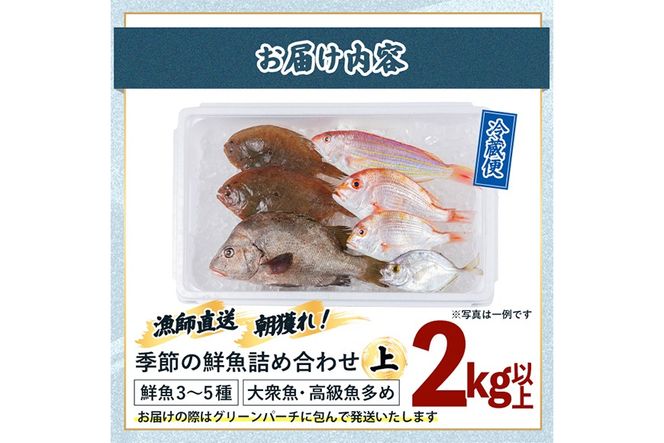 【北海道・離島配送不可】漁師直送！朝獲れ 季節の 鮮魚 詰め合わせ (上) (合計2kg以上・3～5種) 下処理済み 大衆魚 高級魚 未利用魚 冷蔵 BOX ボックス イカ 鯛 海鮮 魚介 食べ比べ 詰合せ 宮崎県産 【O-11】【門川漁業協同組合】