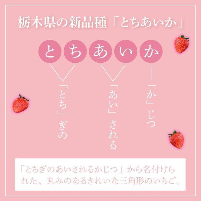 【合計20～40粒入り】いちご とちあいか 600g以上 (300g以上×2パック)｜栃木県 益子町 ふるさと納税 鈴木農園 L 2L 3L ご家庭用 家族用 食べやすい 一口サイズ 粒たっぷり 大満足 いちご イチゴ 苺 果物 フルーツ とちあいか 人気 600g以上 1パックあたり10～20粒入り （DJ003）