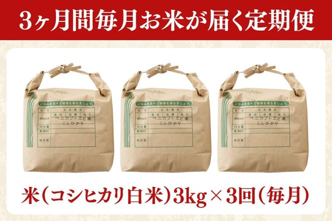 AQ021　【全3回定期便】＜毎月＞髙橋ファームの紅カブトエビ米　白米3kg