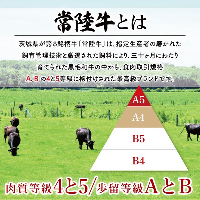 【常陸牛】生ハンバーグ 150g×10個 茨城県共通返礼品｜茨城県 大子町 牛肉 国産 ブランド牛 黒毛和牛 惣菜 おかず 贈り物 ギフト （DJ002）