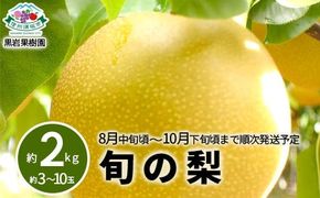 旬の梨 約2kg (約3～10玉) 《黒岩果樹園》■2025年発送■※8月中旬頃～10月下旬頃まで順次発送予定