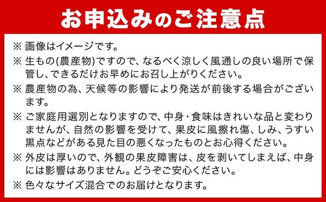 みかん はるか 約 5kg サイズ混合 どの坂果樹園《2027年3月上旬-5月下旬頃出荷》 和歌山県 日高町 はるか 旬 柑橘 フルーツ 果物---wsh_dsk8_ab35_24_11000_5kg---