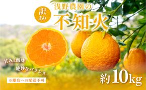 【先行予約】訳あり 不知火 計10kg ※離島への配送不可（2027年2月中旬頃より順次発送予定）IKTAC030