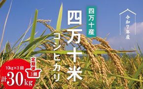令和7年産 3回 定期便 四万十産 四万十米 コシヒカリ 10kg （5kg×2袋）×3回（計30kg） 国産 こしひかり コシヒカリ 30kg 2025年 精米 白米 米 おこめ こめ コメ ご飯 ごはん 四国 高知 四万十 しまんと R7-946