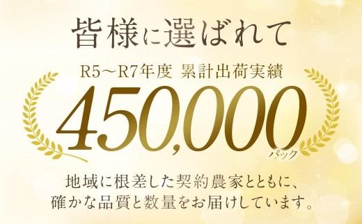 あまおう （ グランデ等級以上 ） 約250  × 4P 計約1,000 ～ 1,080g いちご イチゴ 苺 果物 くだもの フルーツ 果実 果肉 いちごの王様 国産 福岡県産 冷蔵 【 2027年2月上旬～4月下旬発送予定 】