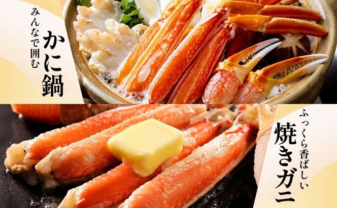 099H3427 本ズワイ 1kg前後 3-4L ビードロカット 蟹酢付【北国からの贈り物 昆布塩加工 ポーション しゃぶしゃぶ 刺身 かに カニ 脚 本ズワイ蟹 本ずわい蟹 海鮮】