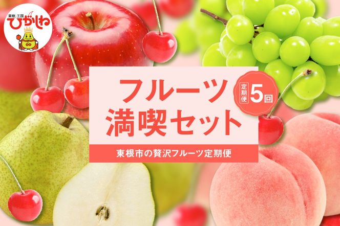 2025年先行予約　全5回定期便】東根フルーツ満喫セット （6月からスタート） hi027-184-2