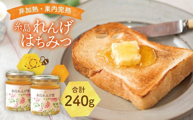 糸島 れんげはちみつ 120g×2【ヴァンベールフーズ】レンゲ / 蜂蜜 / れんげ蜜 [AFJ003]