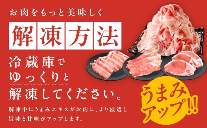 mrzZ025 国産豚肉 4種 定期便 2.4kg×6回【氷温熟成×極味付け 小分け 300gパック ぶたにく 普段使い 野菜炒め 切り落とし 毎月配送コース】
