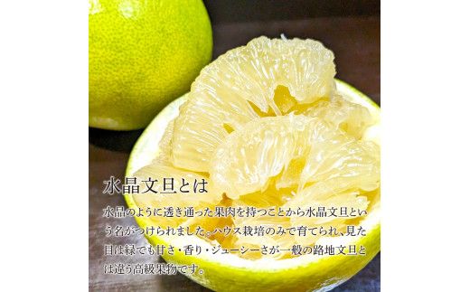 土佐市産 水晶文旦 約5kg (7～8玉）文旦 ぶんたん ブンタン すいしょうぶんたん ハウス栽培 甘い 高級 果物 柑橘 フルーツ 果物 ご当地 お取り寄せ ５キロ
