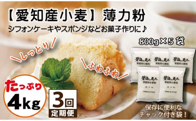 【小麦粉】碧海の恵み 薄力粉 国産 愛知県産 800g×5袋(計4kg) 定期便3回 スポンジ シフォンケーキ 菓子用 小麦 お好み焼き 天ぷら たこ焼き 保存に便利 チャック付き H008-288