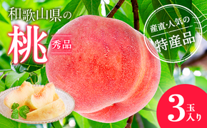 【産直・人気の特産品】和歌山の桃　3玉入り※着日指定不可

