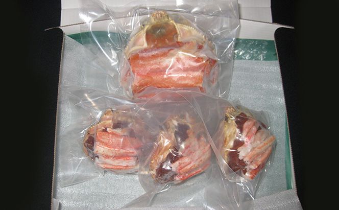 松葉蟹ほぐし身（活き蟹600～750g使用）とコッペガニ（大サイズ)ほぐし身セット 松葉ガニ ほぐし 