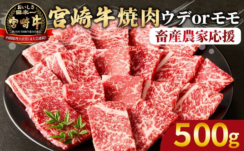 [宮崎牛 赤身焼肉 1パック(500g)]2026年4月に順次出荷 [ 国産 黒毛和牛 牛肉 牛 精肉 カット肉 BBQ ウデ肉 モモ肉 4等級以上 ブランド牛 赤身 旨味 贈答品 ギフト 贈り物 プレゼント 化粧箱 グルメ ミヤチク 宮崎県 国富町 ][b0990_my_ouen_apr]