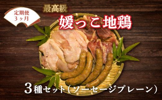 定期便 3回 数量限定 最高級 ブランド 地鶏 媛っこ地鶏 セット3種 ソーセージ プレーン 鶏肉 鶏むね 鶏もも こだわり 小分け