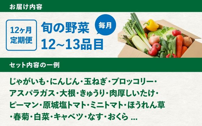 【12回定期便】野菜のプロが選ぶ 旬の野菜セット 12〜13品目 野菜定期便 / 野菜 やさい セット 新鮮 / 南島原市 / 愛2農園[SGG001]