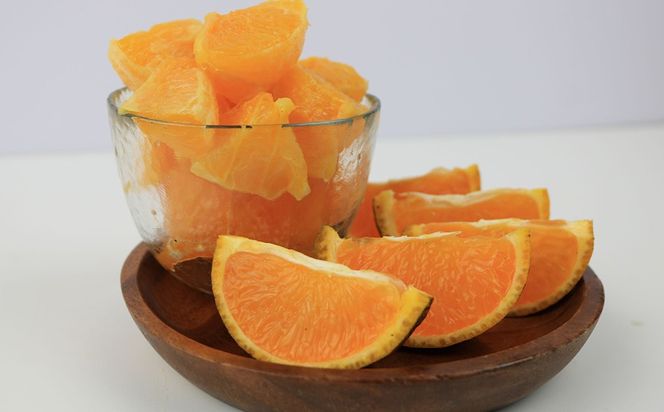 【2027年発送】大宜味村 たんかん 約10kg 沖縄 おきなわ 大宜味村 果物 くだもの 果実 タンカン オレンジ みかん 柑橘 フルーツ お取り寄せ 人気 ふるさと納税 送料無料 国産 県産 ご当地 やんばる 先行予約