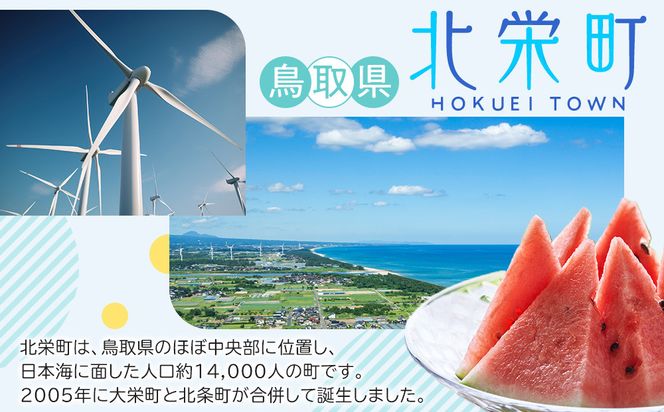 【2026年度先行予約】数量限定　鳥取県産　二十世紀梨　家庭用 5kg(約10〜16玉)【8月20日以降発送】 313726_DE006