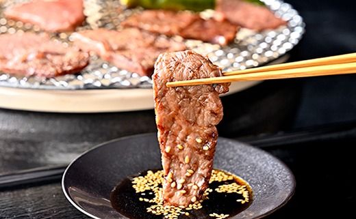 【森三商会】4等級以上の未経産雌牛限定　近江牛赤身焼肉500g（モモ）【GM13U】