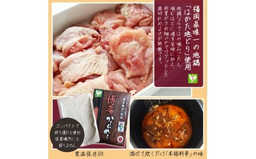 炊き込みご飯の素 博多かしわめし 2～3人前(2合用)【株式会社JSE】_HA1861