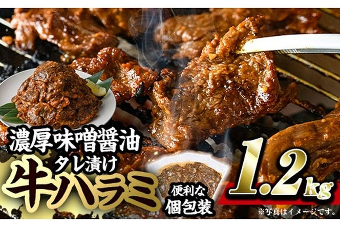 濃厚味噌醤油 タレ漬け牛ハラミ(サガリ)肉 小分け 個包装で便利！ (合計1.2kg・300g×4p) 牛肉 焼くだけ 簡単 焼肉 焼き肉 やきにく 厚切り 肉厚 冷凍 BBQ 希少部位 【BD300】【西日本畜産 (株)】