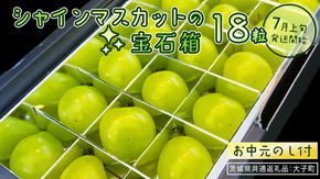 【 お中元 】『 シャインマスカット の宝石箱 (18粒) 』【2026年7月上旬発送開始】(茨城県共通返礼品：大子町) ぶどう 葡萄 マスカット フルーツ 果物 贈答用 ギフト 贈り物