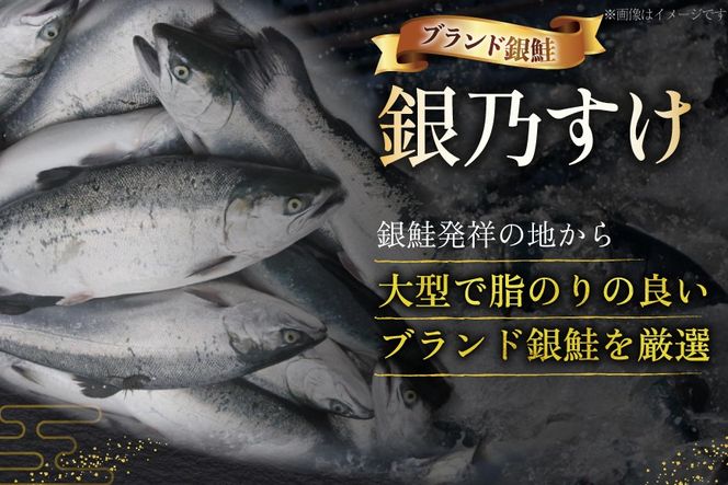 銀鮭 銀乃すけ 寒風干し 大辛口 厚切り 約100g ×1切入 合計16P [行場商店 宮城県 南三陸町 m304bir900000] 魚 魚介類 サーモン 銀鮭 塩銀鮭 シャケ 切り身 さけ サケ 国産 小分け 個包装 冷凍
